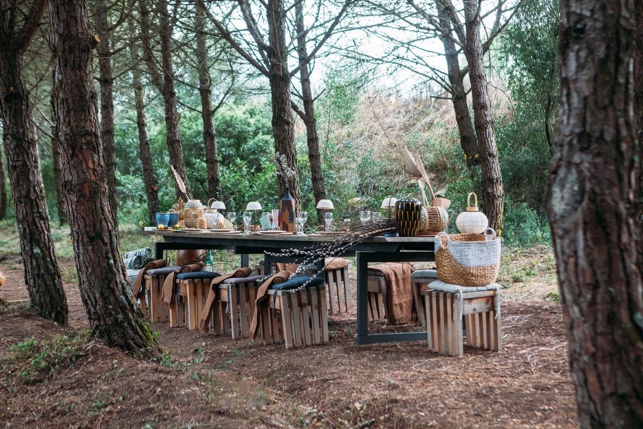 Pineforest 3.jpeg
