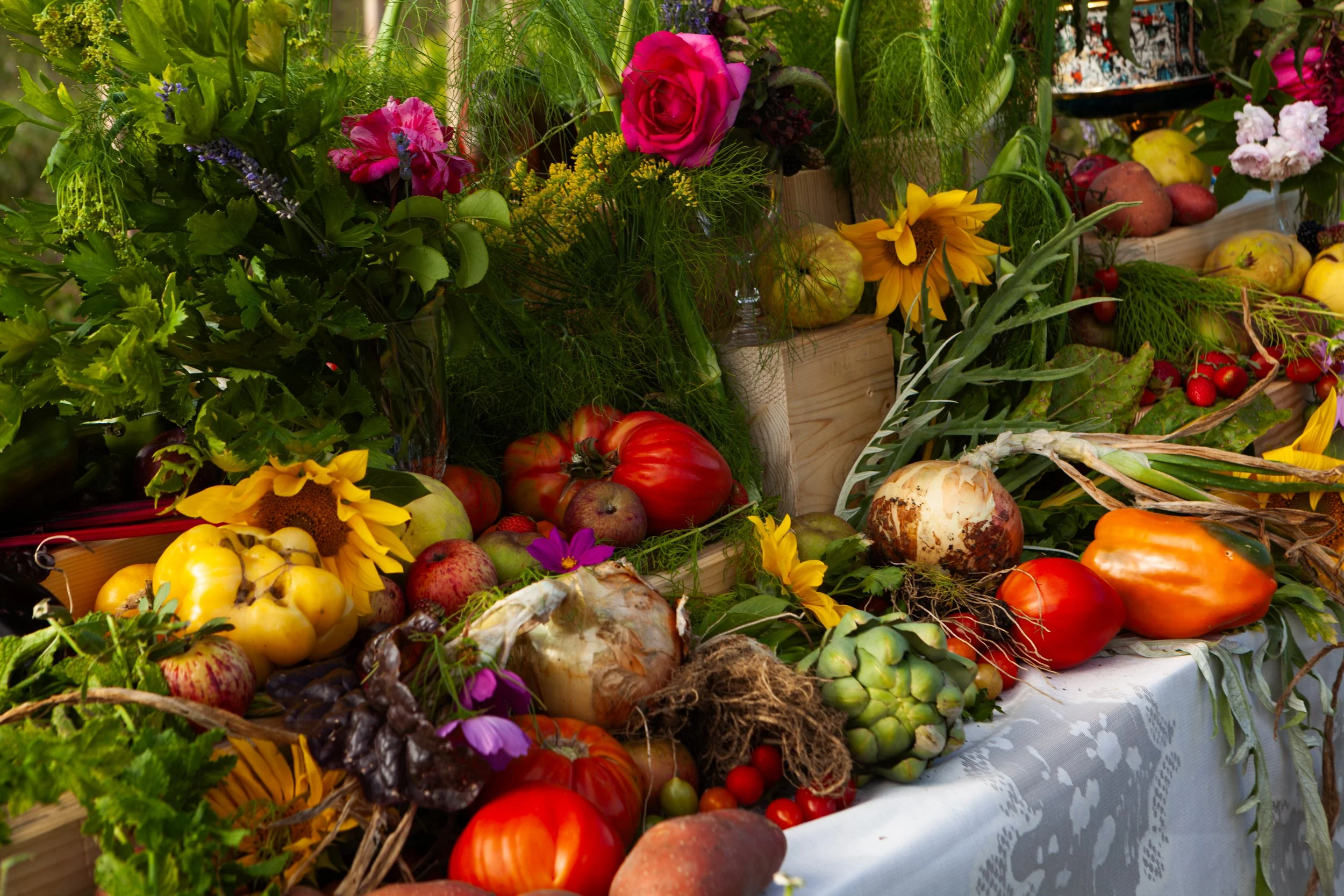 August Abundance at Quinta da Bufala