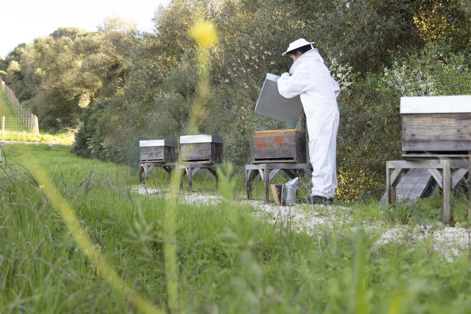 Soil. Soul. Sustenance.Why Its Health is Essential to Regenerative Farming